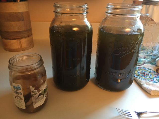 How to Make Kombucha Part 1