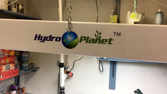 Hydroplanet Fluorescent Grow Light Product Review – Info You Love